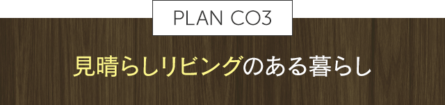 PLAN CO3$B!!8+@2$i$7%j%S%s%0$N$