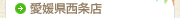 愛媛県西条店