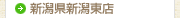 新潟県新潟東店