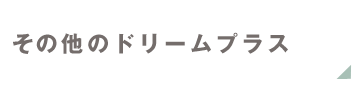 その他のリームプラス