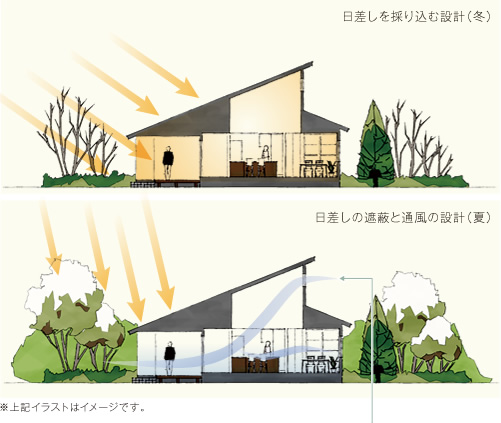 日差しを採り込む設計(冬) 日差しの遮蔽と通風の設計(夏)