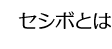 セシボとは