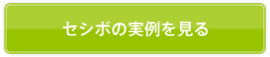 セシボの実例を見る