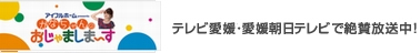 かなちゃんのおじゃましま~す