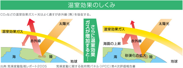 温熱効果の仕組み