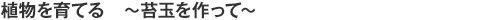植物を育てる～苔玉を作って～
