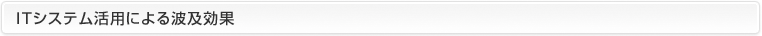 ＩＴシステム活用による波及効果