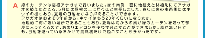 A 緑のカーテンは宿根アサガオで行いました。家の南側一面に地植えと鉢植えにてアサガオを植えたところ、5月には屋根の上に届くほど生長しました。さらに家の南西側にはキウイの棚もあり、夏場の日射をかなり抑えることができます。アサガオはおよそ3年前から、キウイはもう20年くらいになります。地理的に海に近い場所であることもあり、夏場は海からの風が緑のカーテンを通って部屋に入ってくるので、あまりエアコンを使わず過ごすことができました。風が無い日でも、日射を遮っているおかげで扇風機だけで過ごすことも多かったです。