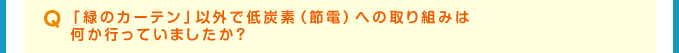 Q 「緑のカーテン」以外で低炭素（節電）への取り組みは何か行っていましたか？