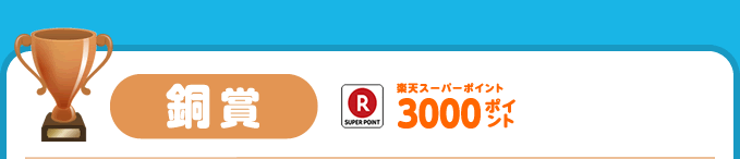 銅賞 楽天スーパーポイント3000ポイント