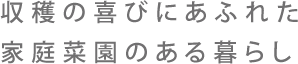 収穫の喜びにあふれた家庭菜園のある暮らし