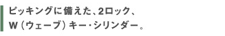 ピッキングに備えた、2ロック、ウェーブキー・シリンダー。