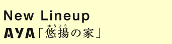 New Lineup AYAuIg̉Ɓv