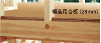 �\���p����(28mm)