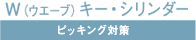 W(�E�F�[�u)�L�[�E�V�����_�[ �s�b�L���O�΍�