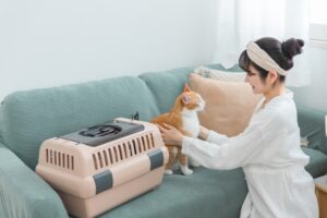 ペットの防災｜必要なものリストと普段から気をつけるべき対策とは
